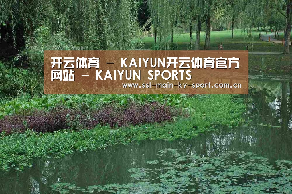 案例展示一(图1)