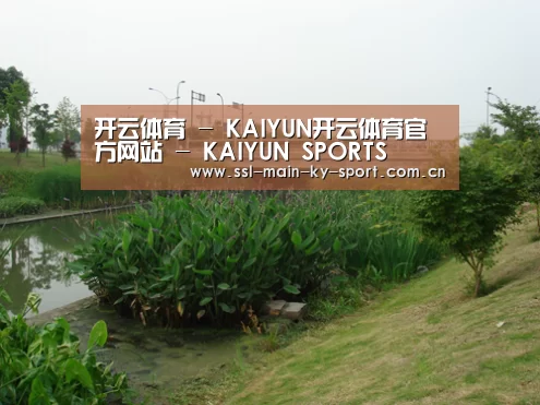 案例展示四(图1)