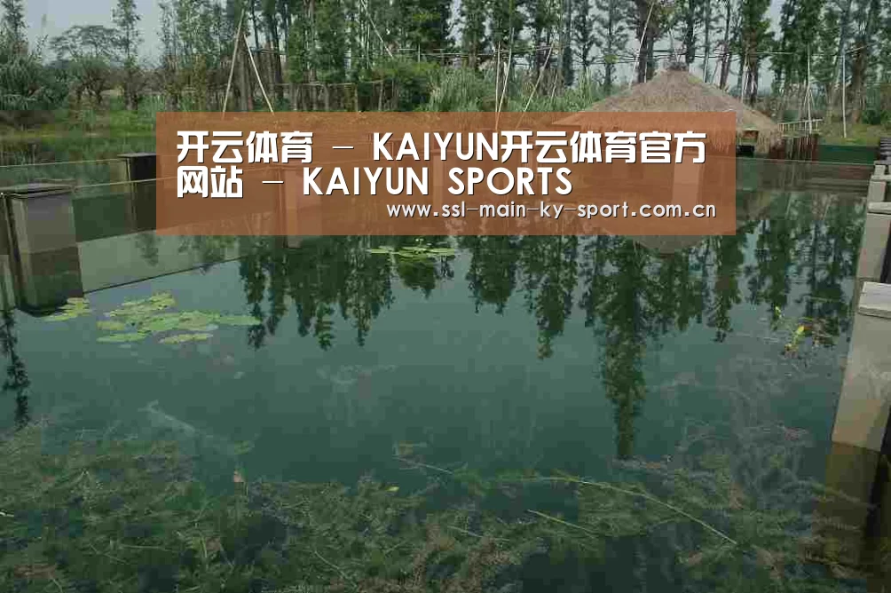 案例展示二(图1)