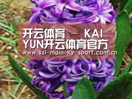 产品名称八