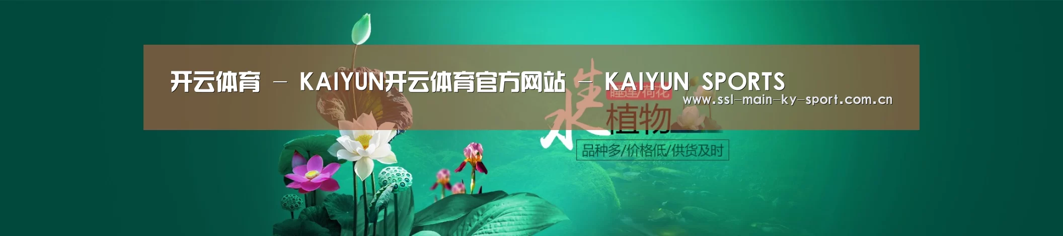 鲜花水草花卉网站模板