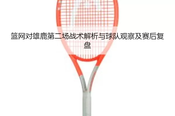 篮网对雄鹿第二场战术解析与球队观察及赛后复盘